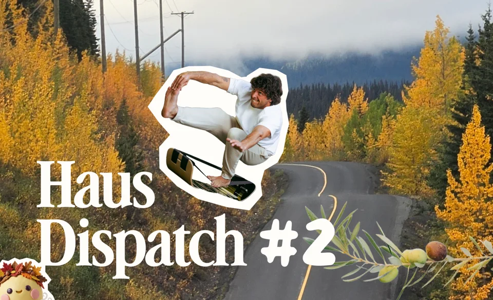 haus dispatch newsletter blog cover